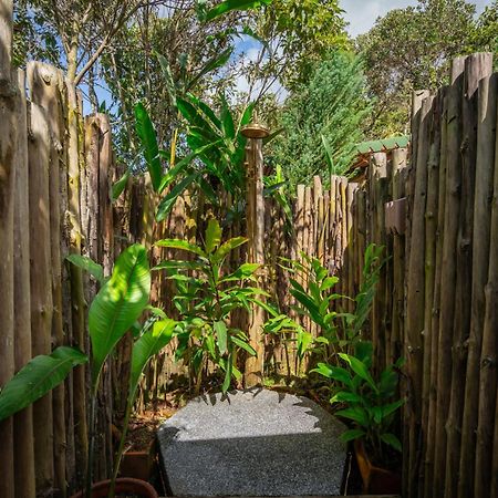 Bubblesky Glamping Guatape Hotell Exteriör bild