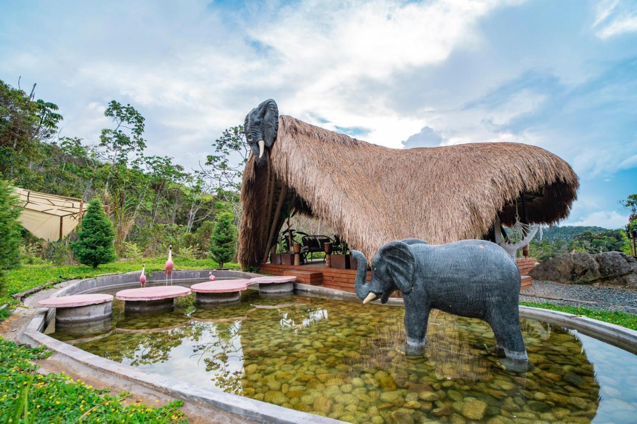 Bubblesky Glamping Guatape Hotell Exteriör bild